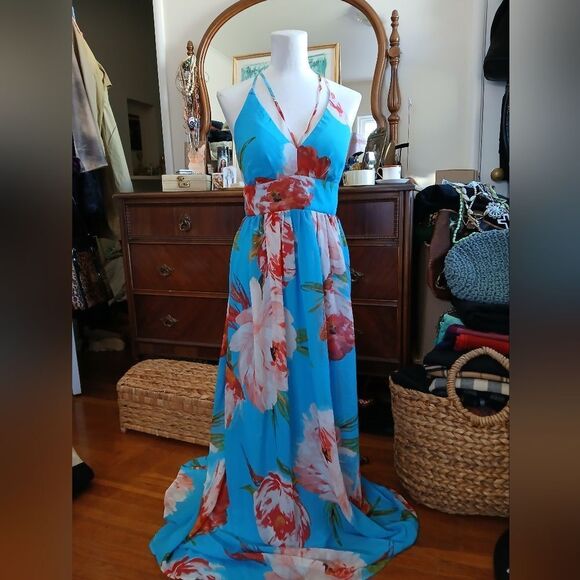 Bisou Bisou Chiffon Maxi Dress Size 2 - Picture 1 of 8